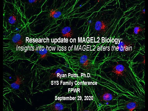 2020 Virtual SYS Conference: Dr. Ryan Potts gives insights into MAGEL2