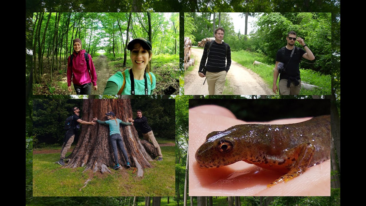 Borzavár - Szépalmapuszta - Kőris-hegy - Százhalom