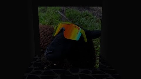 How to get the Secret(????)Badge in Sheep Tycoon!(Roblox)