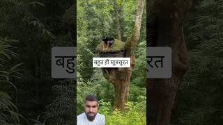 #reels #bhojpuri #trendingshorts #song #trending #dance #love #viral #fruit #hausa #comedy #horror