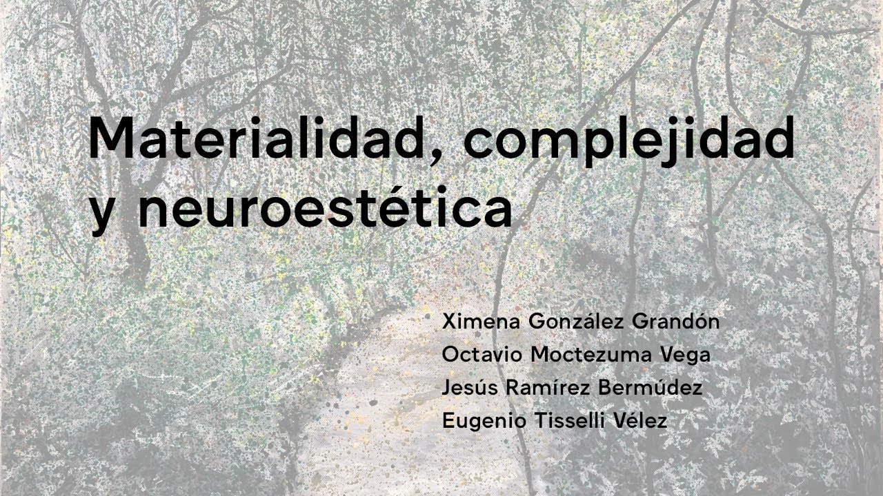 OCTAVIO MOCTEZUMA. MATERIALIDAD, COMPLEJIDAD Y NEUROESTÉTICA