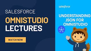 Lecture 8 : Understanding JSON Basics in Salesforce OmniStudio - Complete Beginner's Guide