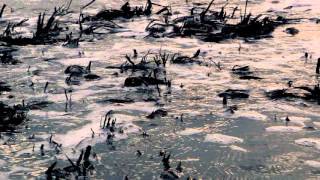 Nocturne #38 (Original composition ) By: Ronald J. Karle screenshot 4