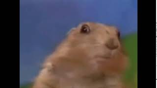 Famous Dramatic Chipmunk with better audio Profile