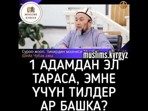 Video: Өлгөн тилдер деген эмне?