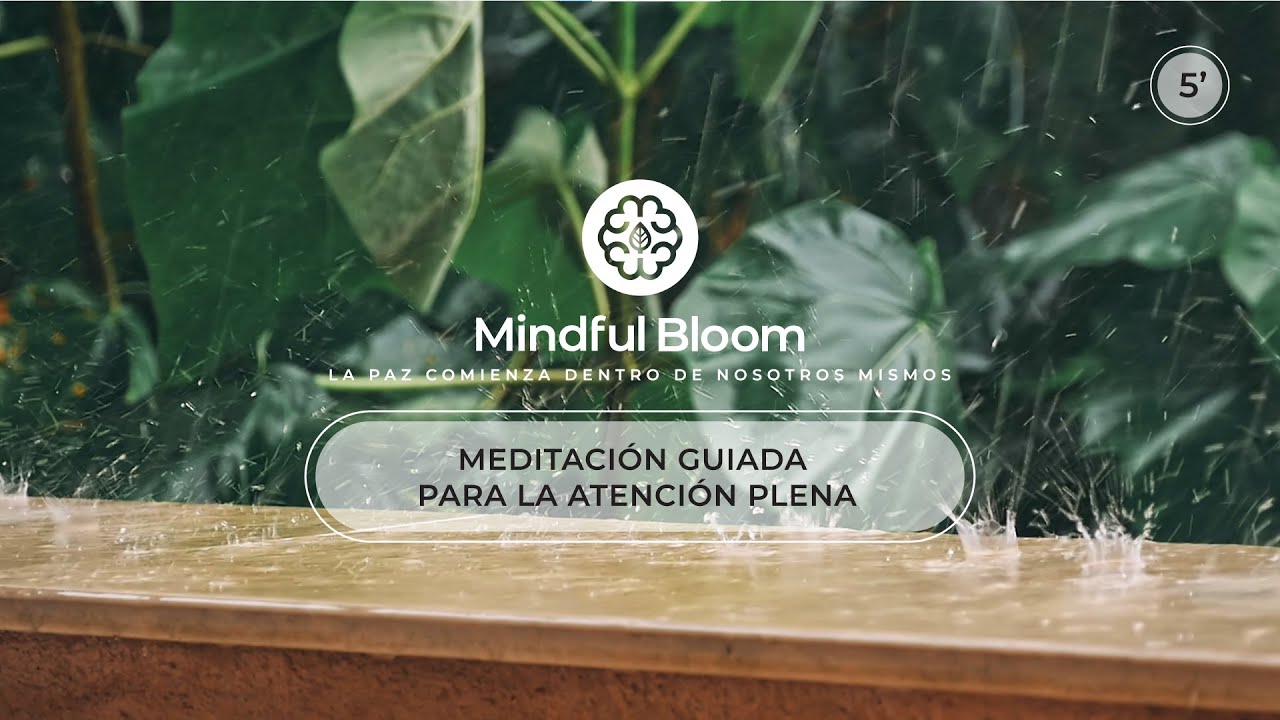 Calma tu mente en 5 minutos: Meditación guiada para la atención plena ...