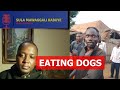 MAN East DOGS In KAMPALA MAN East DOGS In KAMPALA
