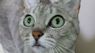 マロちゃん遅めのご飯ライブ
