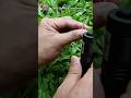 Laser Light Fire Experiment || Part 49 #laserlight #magic