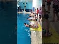 Drills Dolphin Drills Dolphin