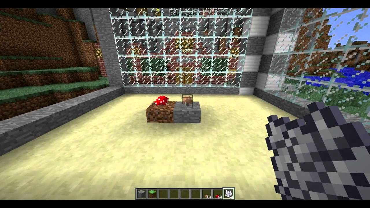 Для CherepashkaTheTurtle про грибы | FunnyHDSTeam