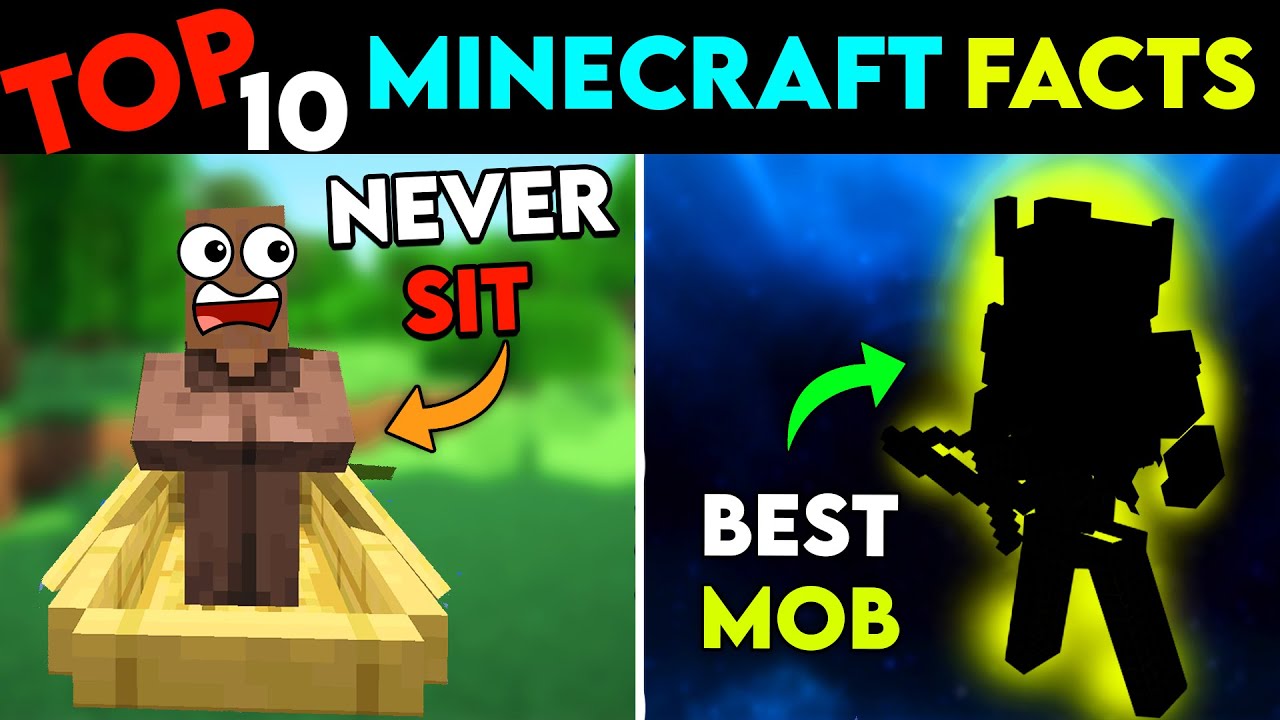 TOP 10 *SECRET* Minecraft FACTS That Will Blow Your Mind - IN HINDI ...