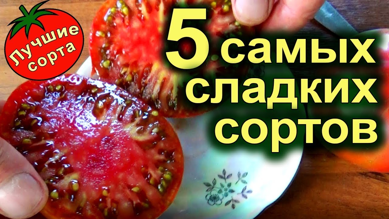 Самые Вкусные Помидоры Фото