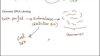 MCAT Biology 4 (Part 1) - Recombinant DNA and Biotechnology: Tools and Techniques Explained