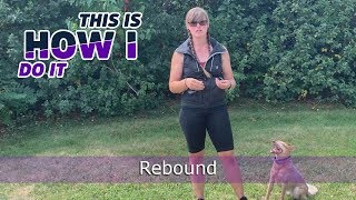 Disc Dog Rebound  Kara Leann