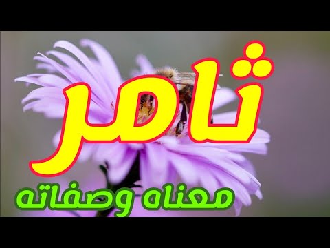 معنى اسم ثامر وصفات من يحمل هذا الاسم