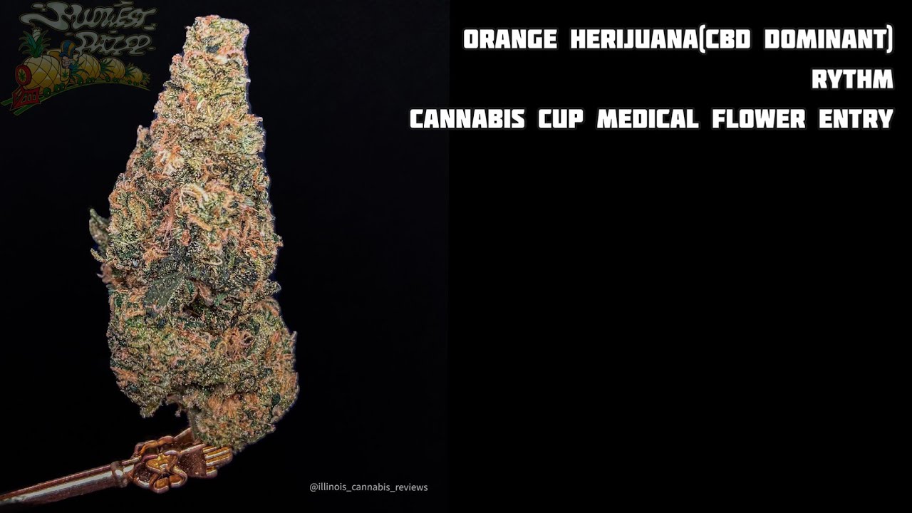 Orange Harijuana High Times Cannabis Cup Judging - Illinois Cannabis Review