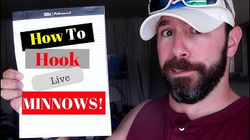 How to hook live minnows! Catch more Fish!