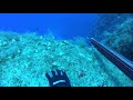 Κυνηγώντας στο ανοιχτό νερό/Open water spearfishing