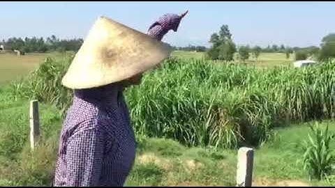 Người dân bức xúc trước tình trạng bãi rác thải xả thải ra môi trường