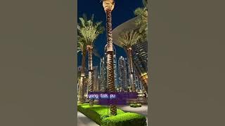 𝚁𝙾𝙼𝙰𝙽𝚃𝙸𝙺𝙰 (𝙲𝙾𝚅𝙴𝚁 𝚅𝙴𝚁𝚂𝙸𝙾𝙽 𝙸𝙰) 