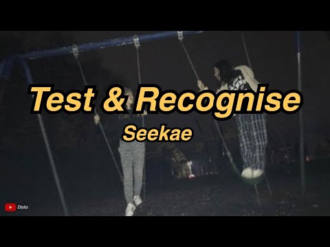 Seekae - test & recognise (flume re-work) // Lyrics
