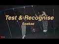 Seekae - test & recognise (flume re-work) // Lyrics