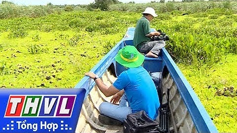 THVL | Ký sự truyền hình: Về U Minh Thượng – Tập 1 | Khám phá U Minh Thượng