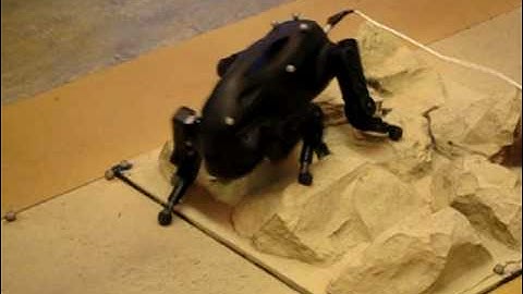 USC Little Dog Robot