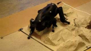 USC Little Dog Robot