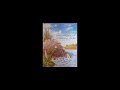 قصة حوار الضفادع قصص وحكايات جميلة 