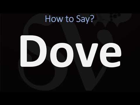 How To Pronounce Dove CORRECTLY 2 WAYS