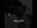 شلون شلون دنيتنا شلون شلون دنيتنا