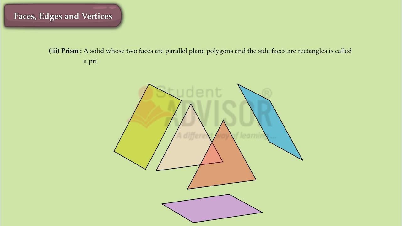 Maths Class 7 Visualising Solid Shapes YouTube