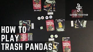 How To Play Trash Pandas
