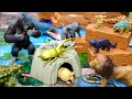 アニア 挑戦!トレジャーツアーズ 大きなマップに生き物情報がいっぱい!動物 恐竜フィギュアを大量にセット