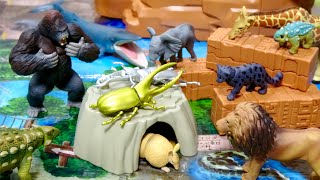 アニア 挑戦!トレジャーツアーズ 大きなマップに生き物情報がいっぱい!動物 恐竜フィギュアを大量にセット