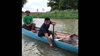 เทคนิคการพายเรือมังกร