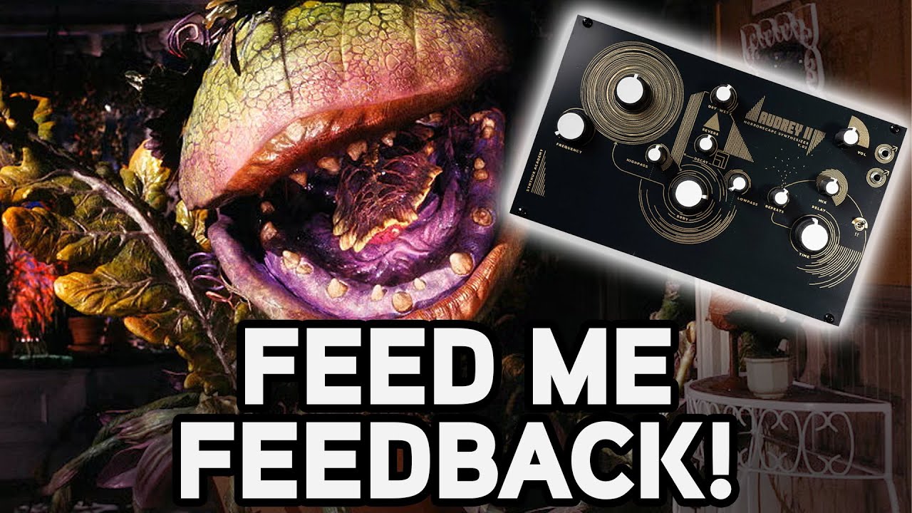 The Audrey II Demands You Feed it Feedback - YouTube