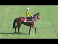 VIVA'S LIBERTE Gallops 1400m at Hollywoodbets Greyville