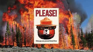 How Prescribed Burns Help Our Forest
