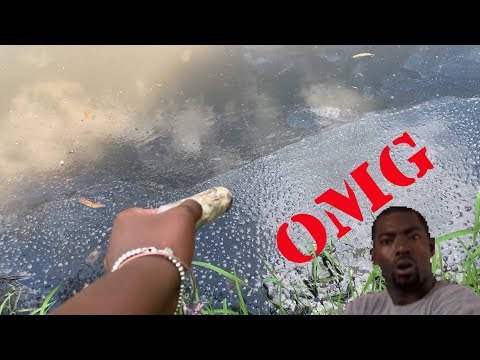 TURTLES LOVE POPSICLES? | Testing The Fish Whisperer’s Video | SHOCKING RESULTS !!!!