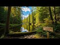 Tranquil River Flow 🌿 Soothing Nature Soundscape for Sleep and Stress Relief #783