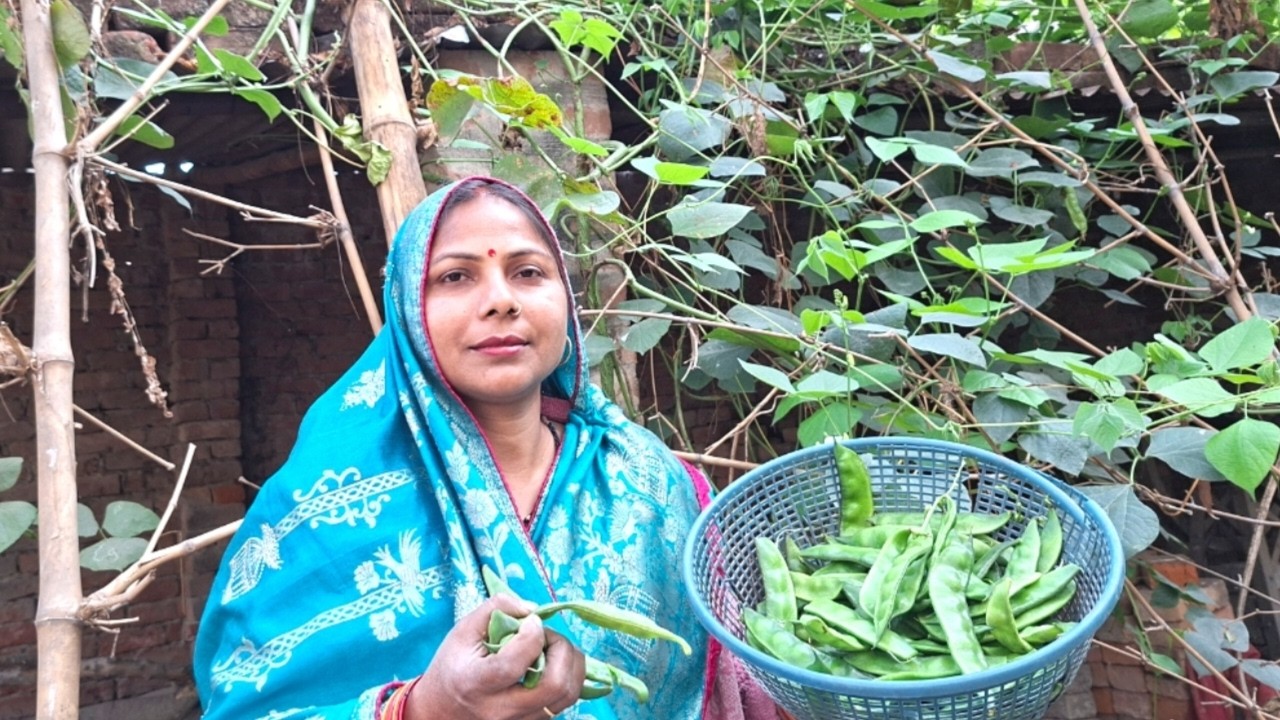 आचार के मसालों से सनी सेम की सब्जी ये देखने के बाद कहोगे आभा पहले क्यों नहीं बताये |सेम आलू की सब्जी