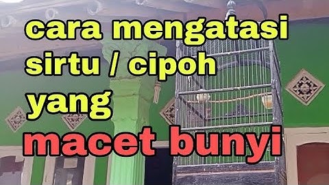 cara mengatasi sirtu / cipoh yang macet bunyi