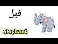 نطق كلمة فيل Elephant باللغة الانجليزية 