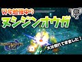 【スラアク】ヌシジンオウガの苦手意識を克服したい!#3 大分慣れてきました!【スラッシュアックスで遊ぶモンハンライズ】