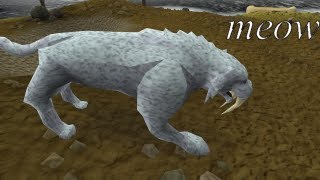 1m/h Low Req Moneymaking - Hunting Kyatts