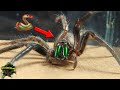 ¡VELOCES como NINJAS! ARAÑA SERPIENTE y ARAÑA VERDE - ¿CUÁL es MÁS RÁPIDA?