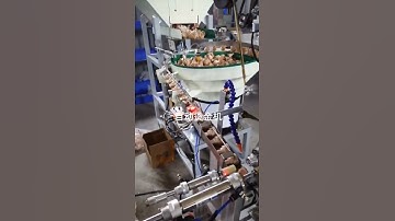 Fully automatic heat transfer printing machine for caps lids